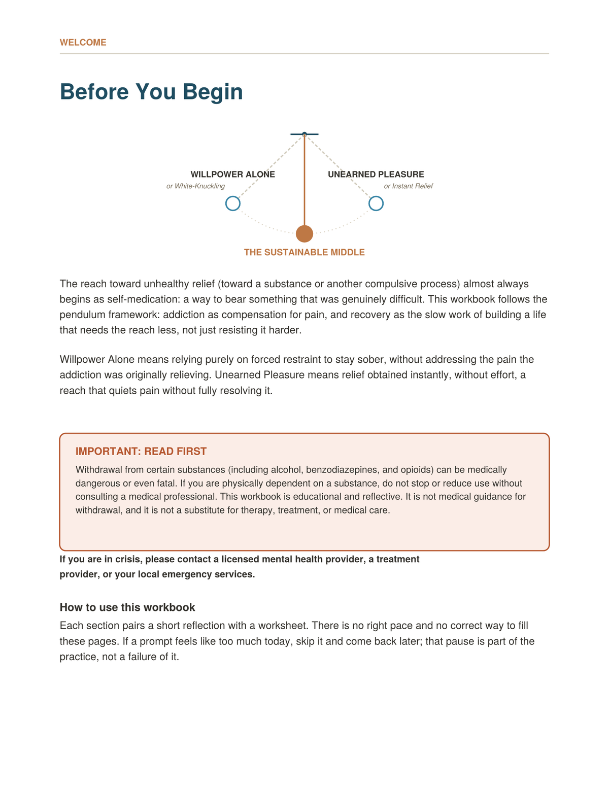 The Pendulum of Addiction Workbook