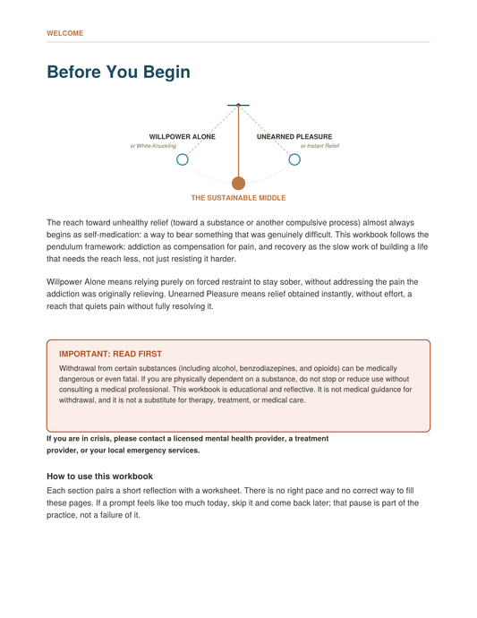 The Pendulum of Addiction Workbook