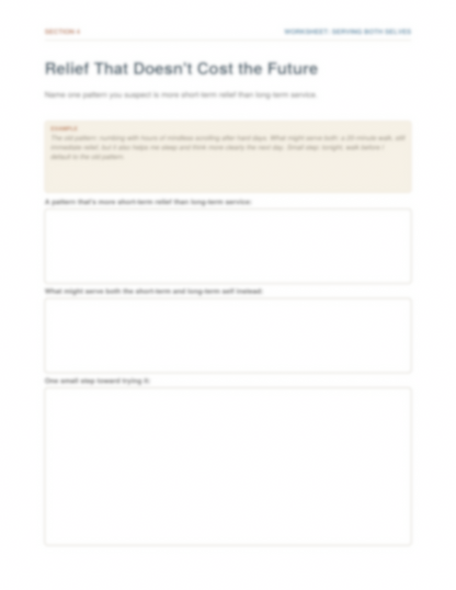 The Pendulum of Adaptation Workbook